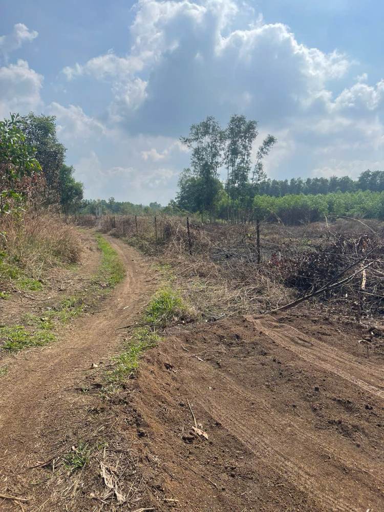 Bán đất – Cẩm Mỹ – ảnh 6