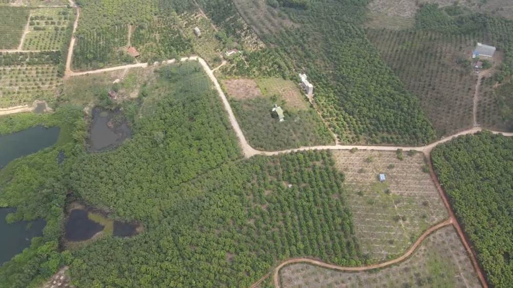 Bán đất – Vĩnh Cửu – ảnh 4