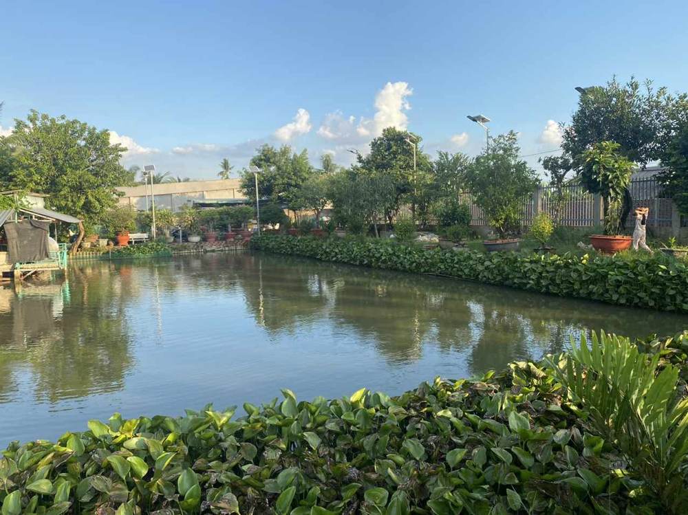 Bán biệt thự – Nhơn Trạch – ảnh 2