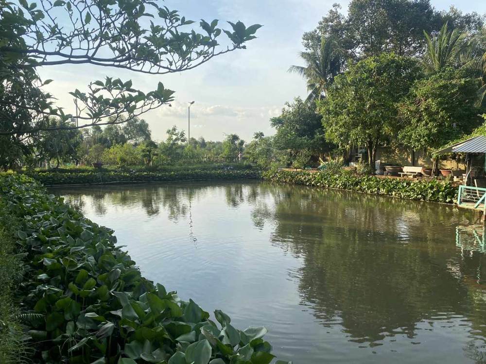Bán biệt thự – Nhơn Trạch – ảnh 5