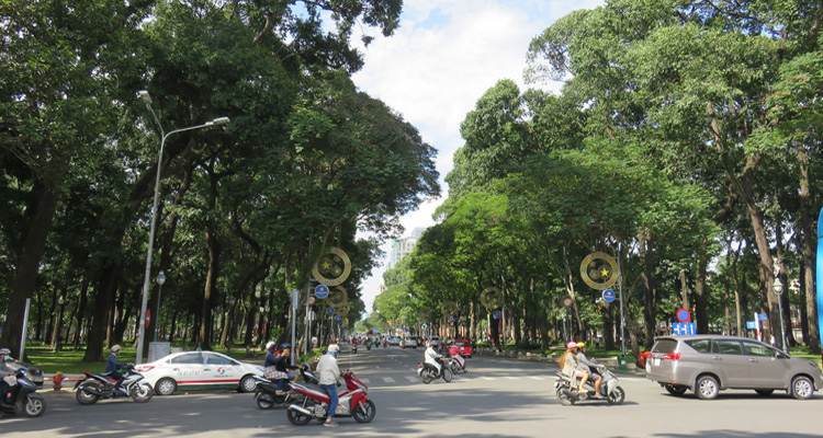 Bán nhà – Tân Hòa – ảnh 5