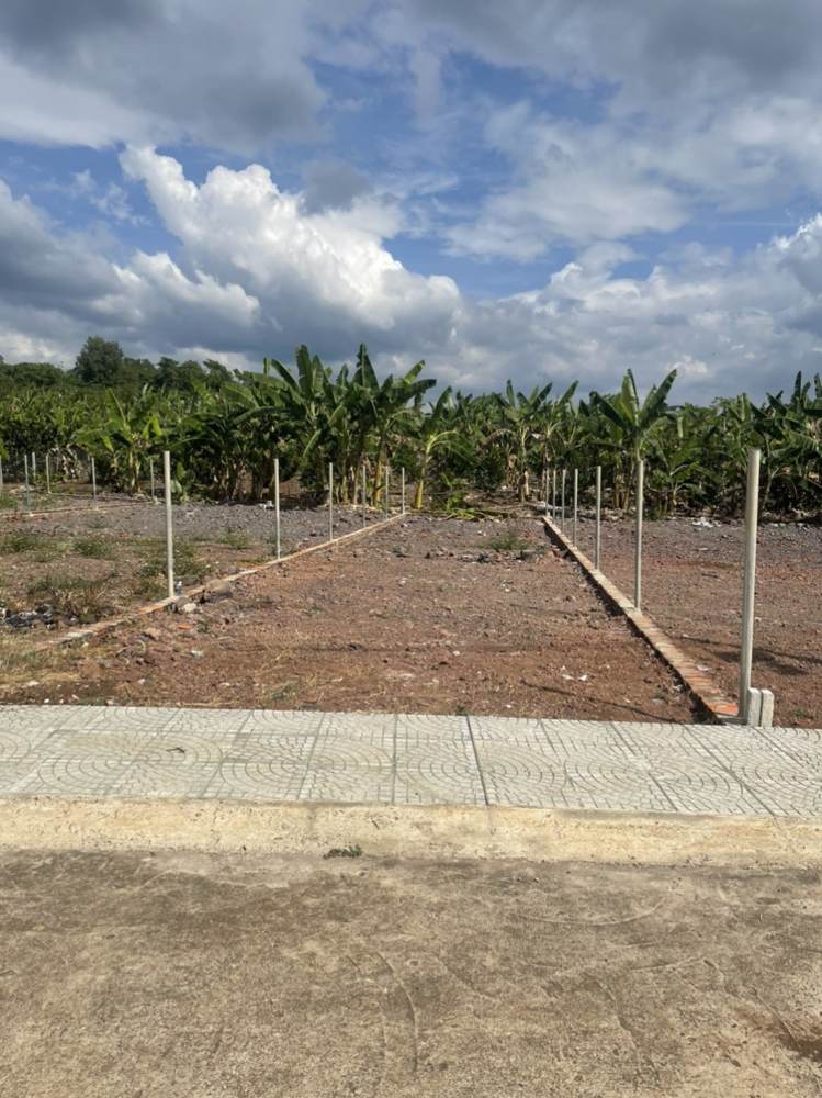 Bán nhà – Thống Nhất – ảnh 5
