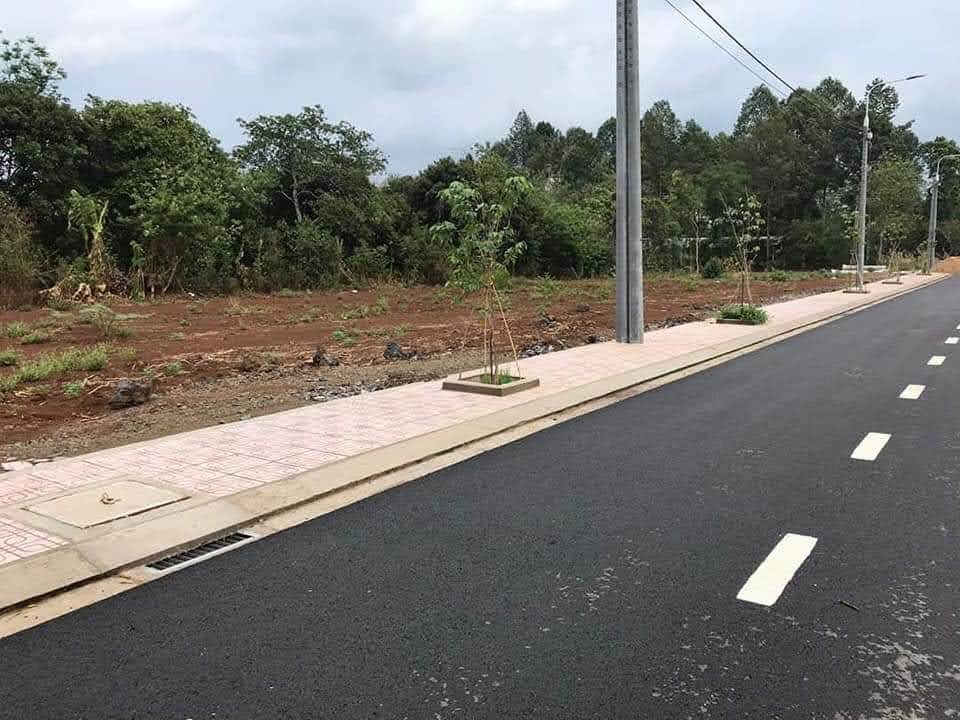 Bán đất – đường Nguyễn Viết Xuân – ảnh 2