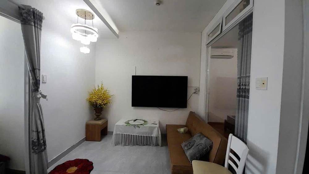 Cho thuê căn hộ – Pegasus Plaza – ảnh 5
