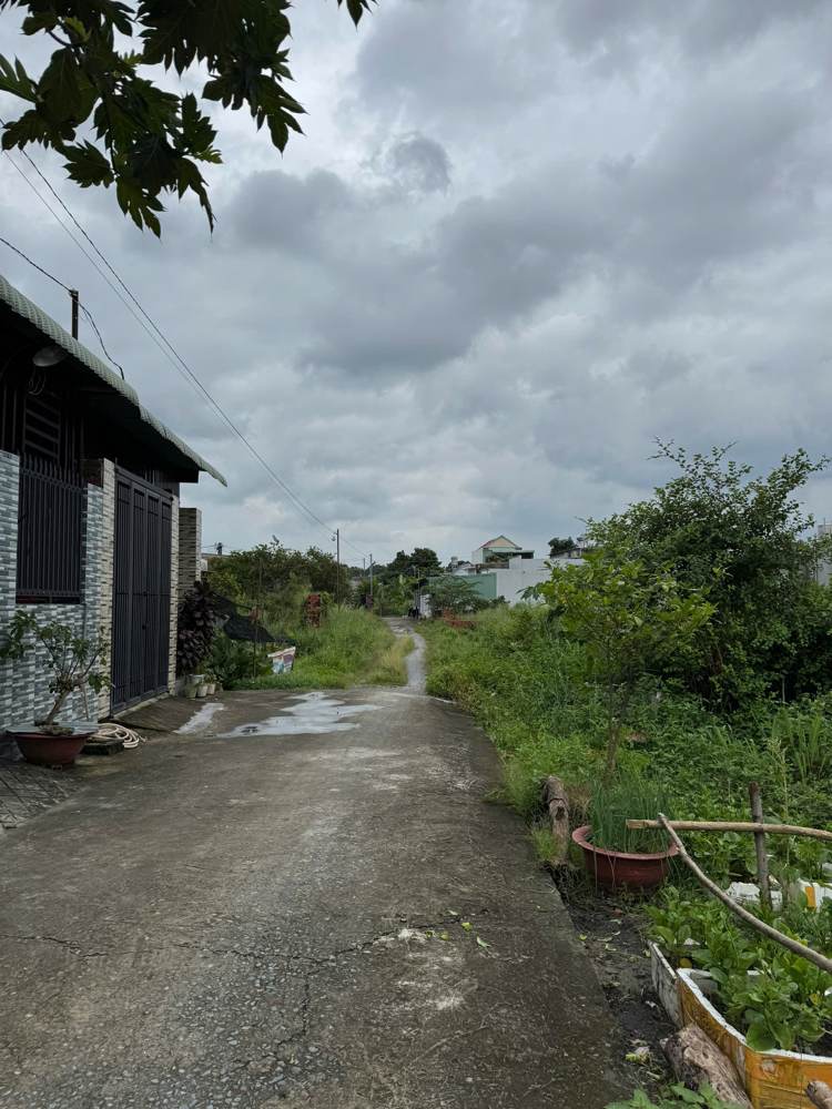 Bán đất – Trảng Dài – ảnh 5