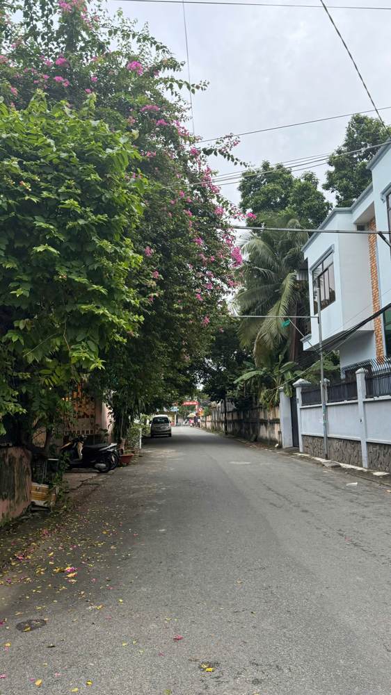 Bán biệt thự – Trảng Dài – ảnh 3