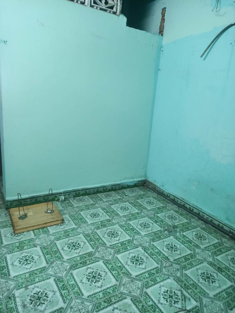 Cho thuê nhà nguyên căn – đường Hoàng Bá Bích – ảnh 3