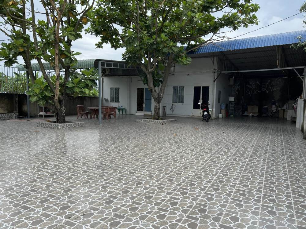 Cho thuê nhà nguyên căn – Thống Nhất – ảnh 2