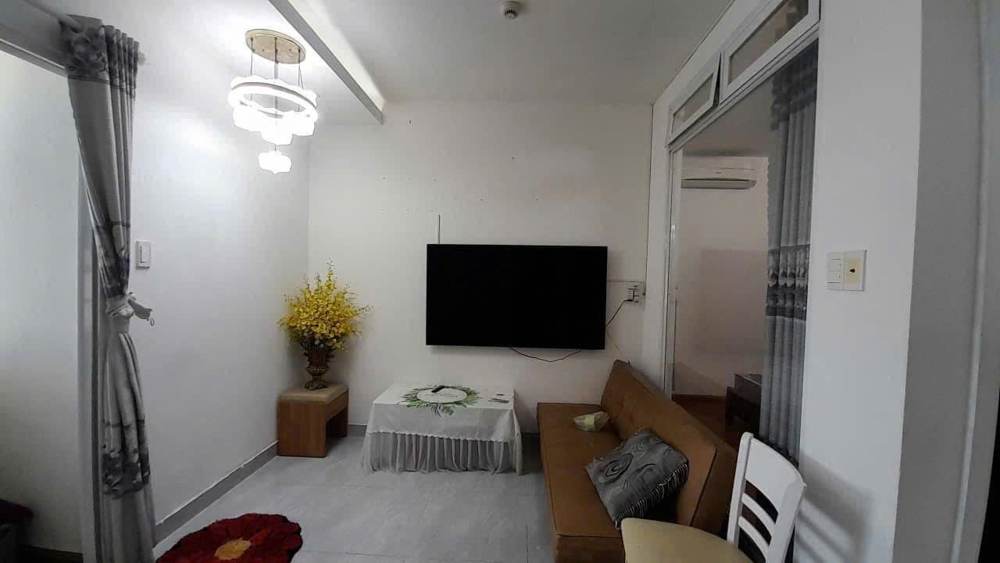 Cho thuê căn hộ – Pegasus Plaza – ảnh 6